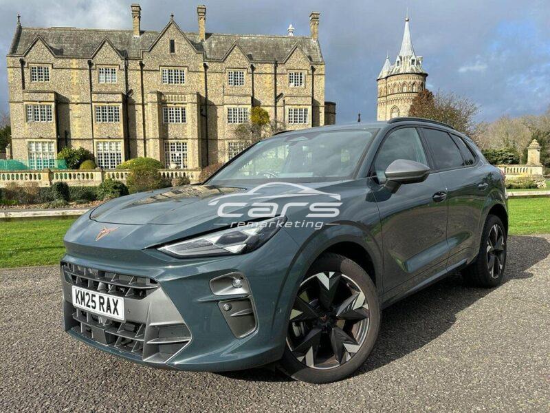 2025 CUPRA Terramar 2.0 TSI V2 DSG 4Drive